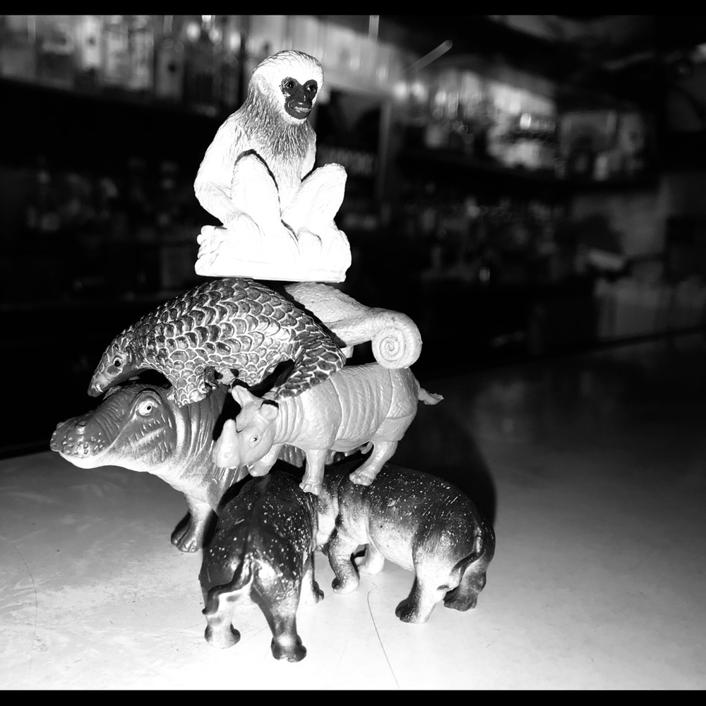 Meet your Posher, Jenny Lee